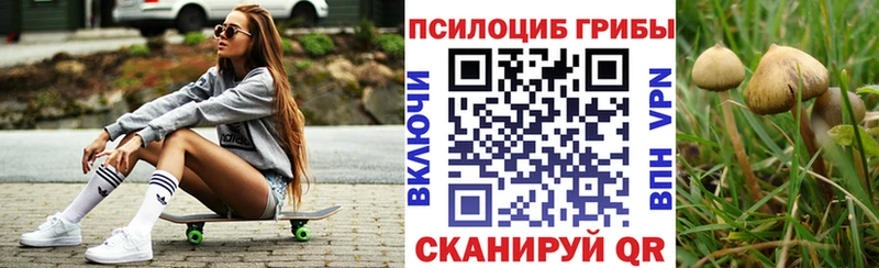 хочу наркоту  Петровск-Забайкальский  hydra ссылки  Галлюциногенные грибы мицелий 