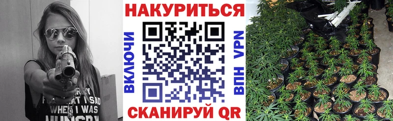 даркнет сайт  даркнет состав  Бошки Шишки индика  Петровск-Забайкальский 